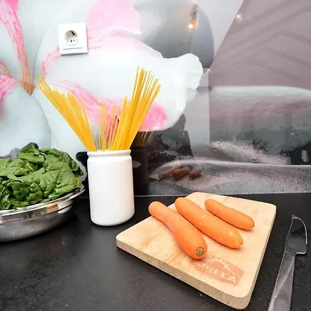 Apartment Baricevic
